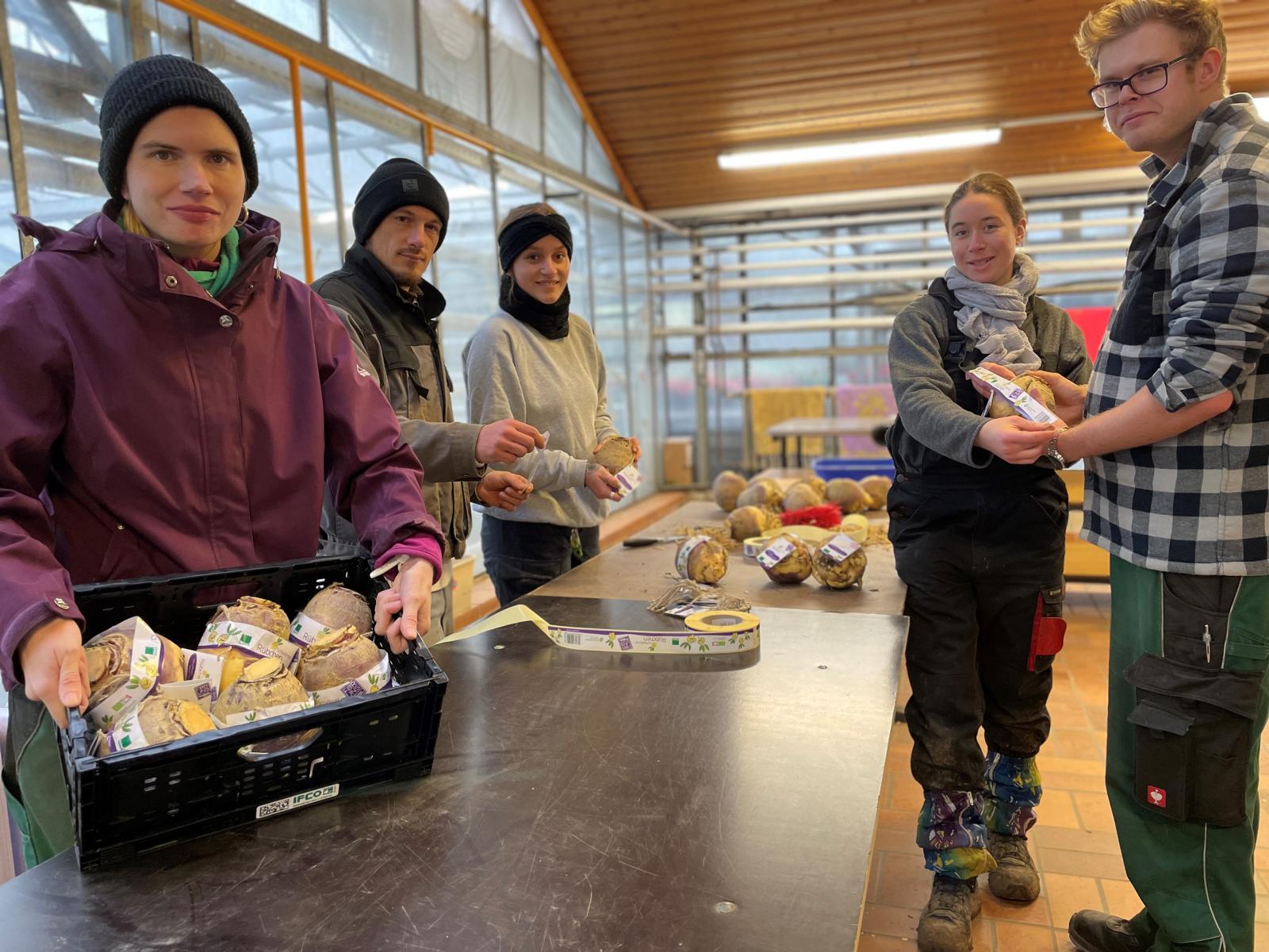 RübchenRenaissance Melsungen die Bartenwetzerstadt