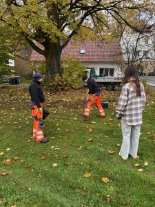 Gärtnerinnen Blumenzwiebel setzen