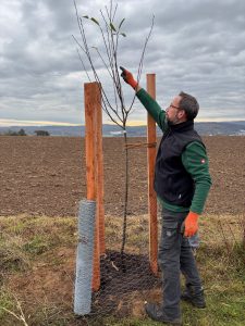 Martin Freudenstein Baumpflanzung