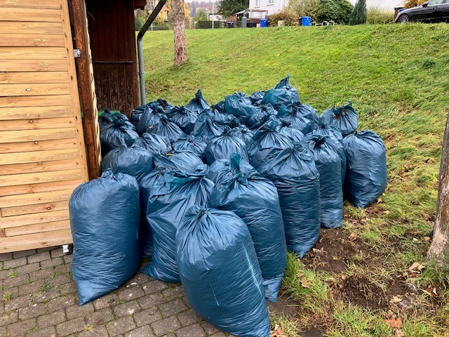 TSV Obermelsungen Laub